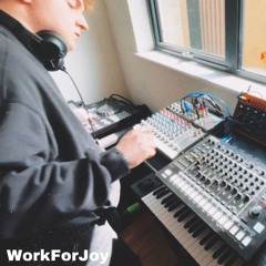 WorkForJoy (Hybrid Live Set) - Hip House & Acid
