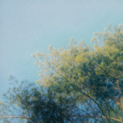 Mimicry
