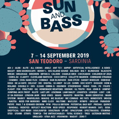 Alite vinyl set with Mc Marvelous @ Sun and Bass 2019