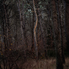 Dialogo sul limite ("Spell on you" OST)