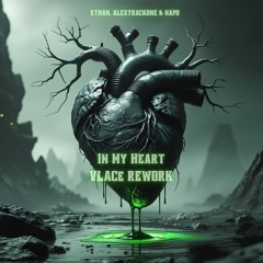 Ethan, Alextrackone & Napo - In My Heart (Vlace Schranz Rework)