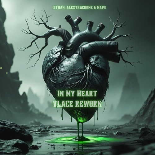 Ethan, Alextrackone & Napo - In My Heart (Vlace Schranz Rework)