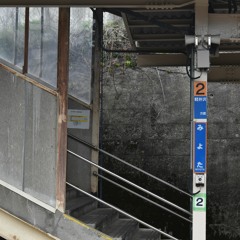 Yokai Shinano Miyota