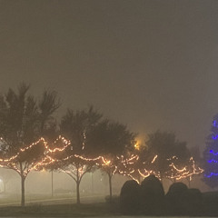 Boring City, Every Night