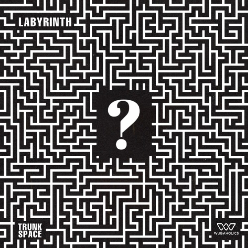 Trunk Space - Labyrinth