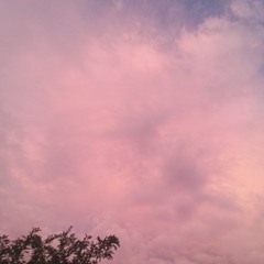 On Sky (pfg x glo x bluely x project)