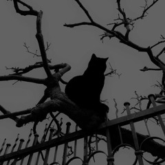 PEGA TEKK | SLOWED - Hardtekk