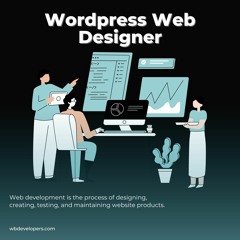 Wordpress Web Designer