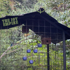 THE JOY EMPIRE