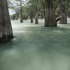 *free* "pl4n" Playboi Carti x Pierre Bourne type beat (prod. Jordan Band$)