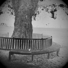 Arise Dear Brother - Cover