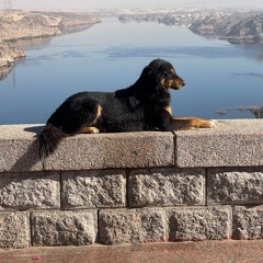 Super Funky Soul Blues Jam in D - 18.06.23