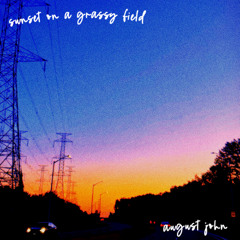 sunset on a grassy field