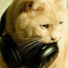 dj kitty dot.com