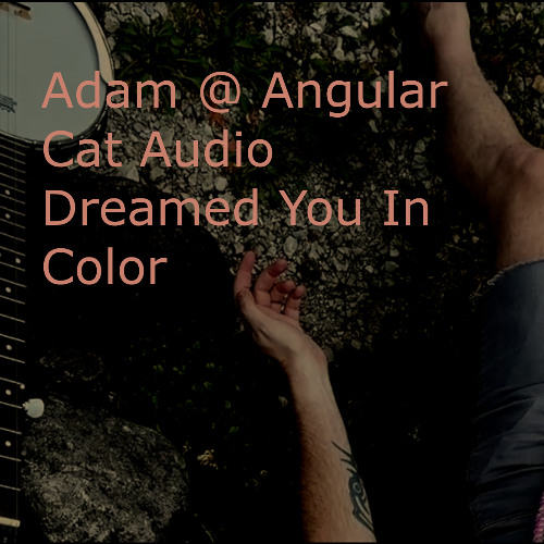 Dreamed You In Color