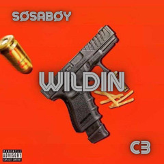 WILDIN-SOSABOYxEntX C3 MME