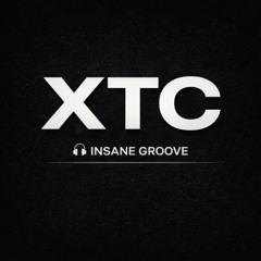 🎧INSANE GROOVE - XTC