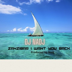 DJ NADJ ORIGINAL TRACK "ZANZIBAR I WANT YOU BACK"