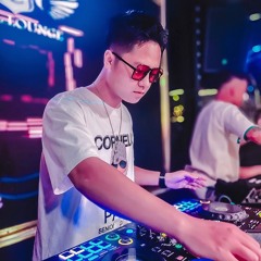 CO GAI PHUONG XA RIBI FT VND RMX 2024