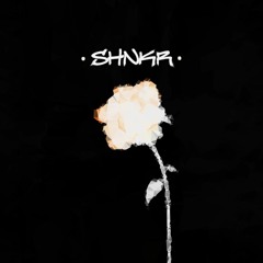 SHNKR - Shvas