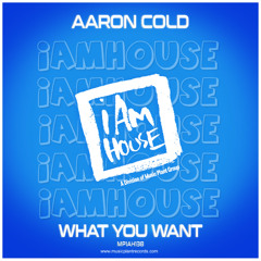 Aaron Cold - What You Want (Aaron Extended - Teaser)