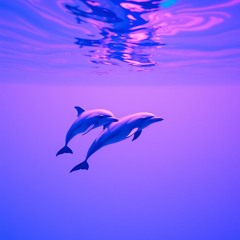 ₪ HEWRA (WRRRAH) ₪ Delfiny (Skit) ₪