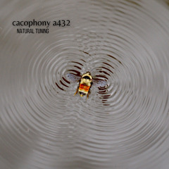 Cacophony A432