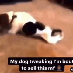 minus | scrapped sans hates women heartache