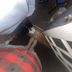 Tems interference flip