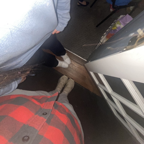 Tems interference flip