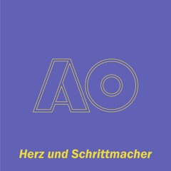 Herz und Schrittmacher @ AO Festival (BE) - August 26, 2023