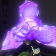 tell me how cute i am and i will temporarily feel good