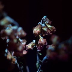 uncertain