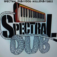 Spectral Dub///Dog AulliDUB//Live Mix
