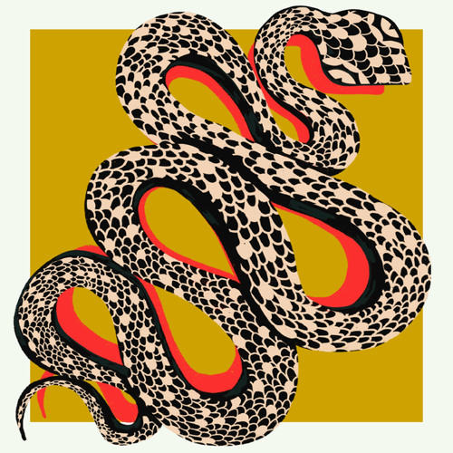 Snakes