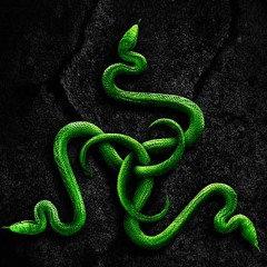 SNAKES