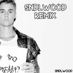 What Do You Mean - Justin Bieber(SndlWood Remix)