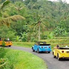 Review Special Price Ubud Vw Safari Bali Tour Volkswagen Classic Car Trip