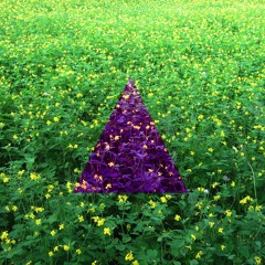 Alltime eternal everydays