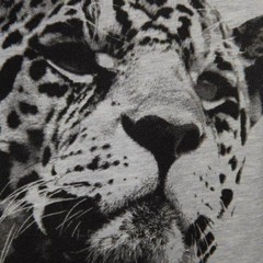 Eurodanek - Eden (Radio Puma Remix)