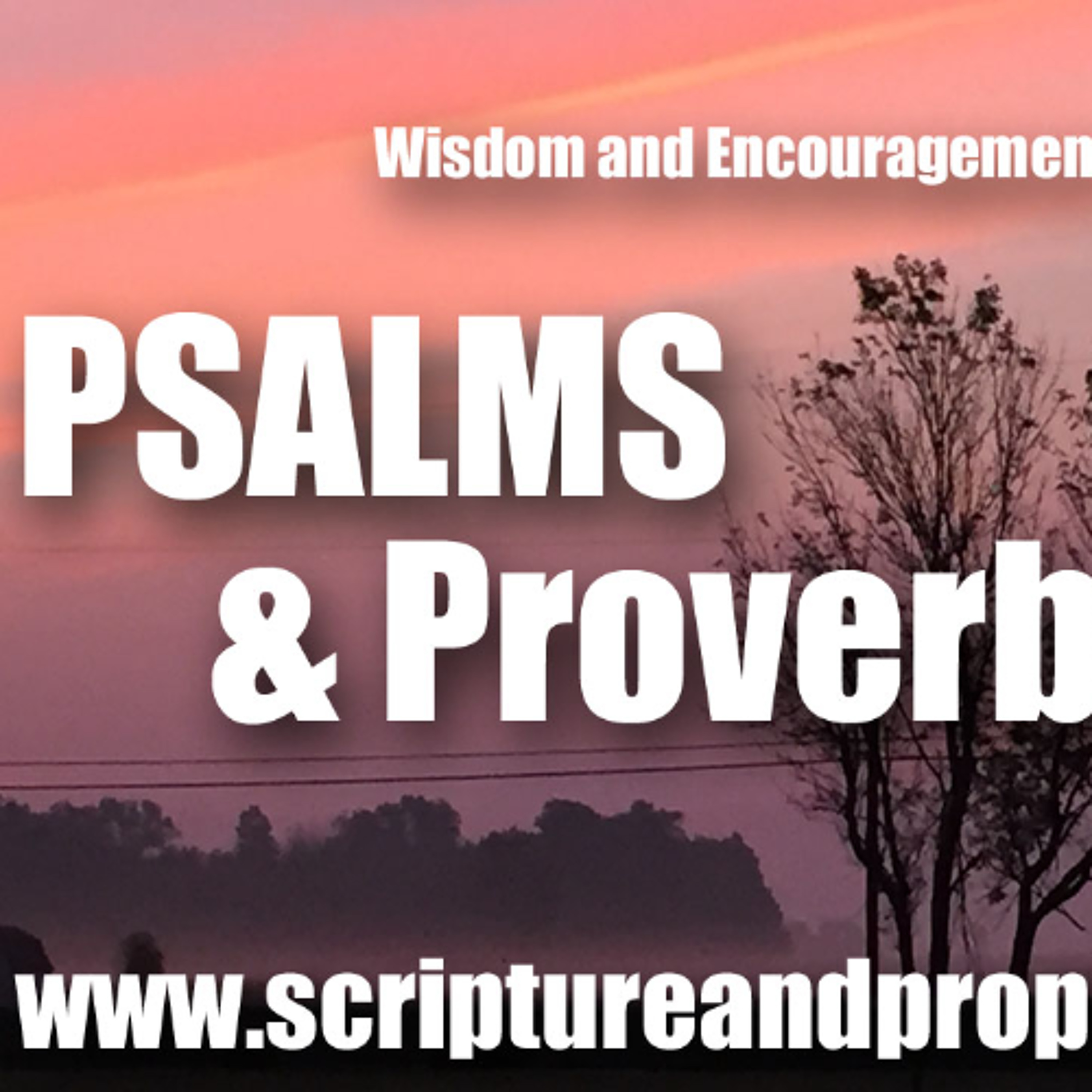 Scripture & Prophecy - Weekly Bible Studies