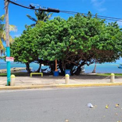 Review Special Price San Juan Airport Transportation To El Conquistador Hotel In Fajardo Pr