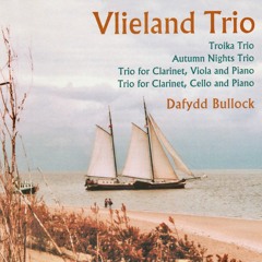 Trio for Violin, Cello and Piano 'Troika' 1
