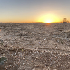 Cell Block House Music