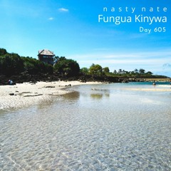 n a s t y  n a t e - Fungua Kinywa. Day 605 - AMAPIANO