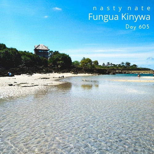 n a s t y  n a t e - Fungua Kinywa. Day 605 - AMAPIANO