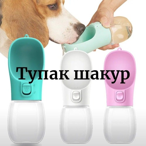 Sip Lin
