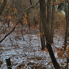 What happened at the construction site