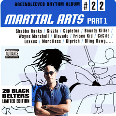 Martial Arts Riddim Dj Shadows Megamix Greensleeves 22