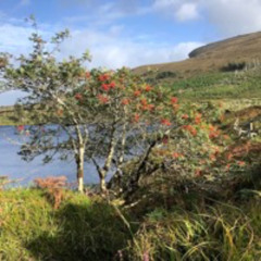 Introduction to the Autumn Light Series